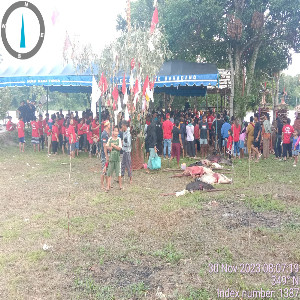 Foto-berita